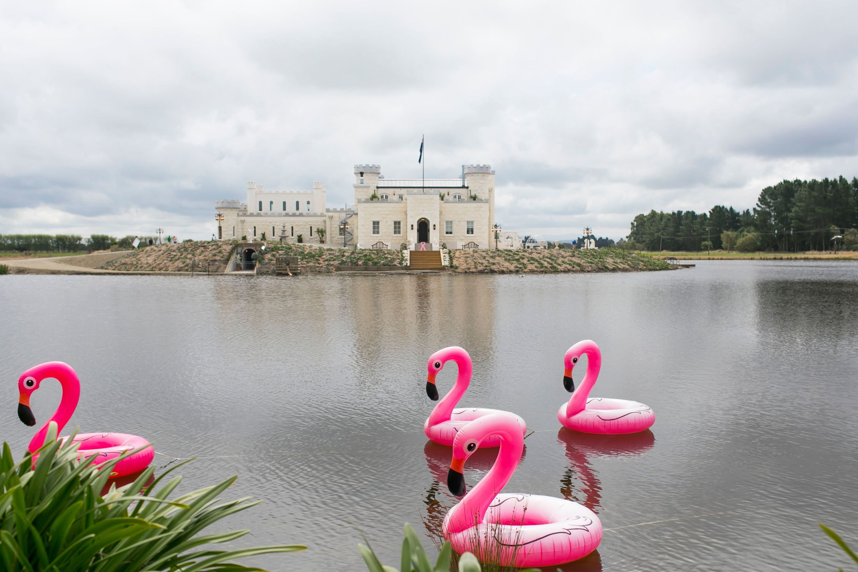 Castle-with-flamingos.jpg