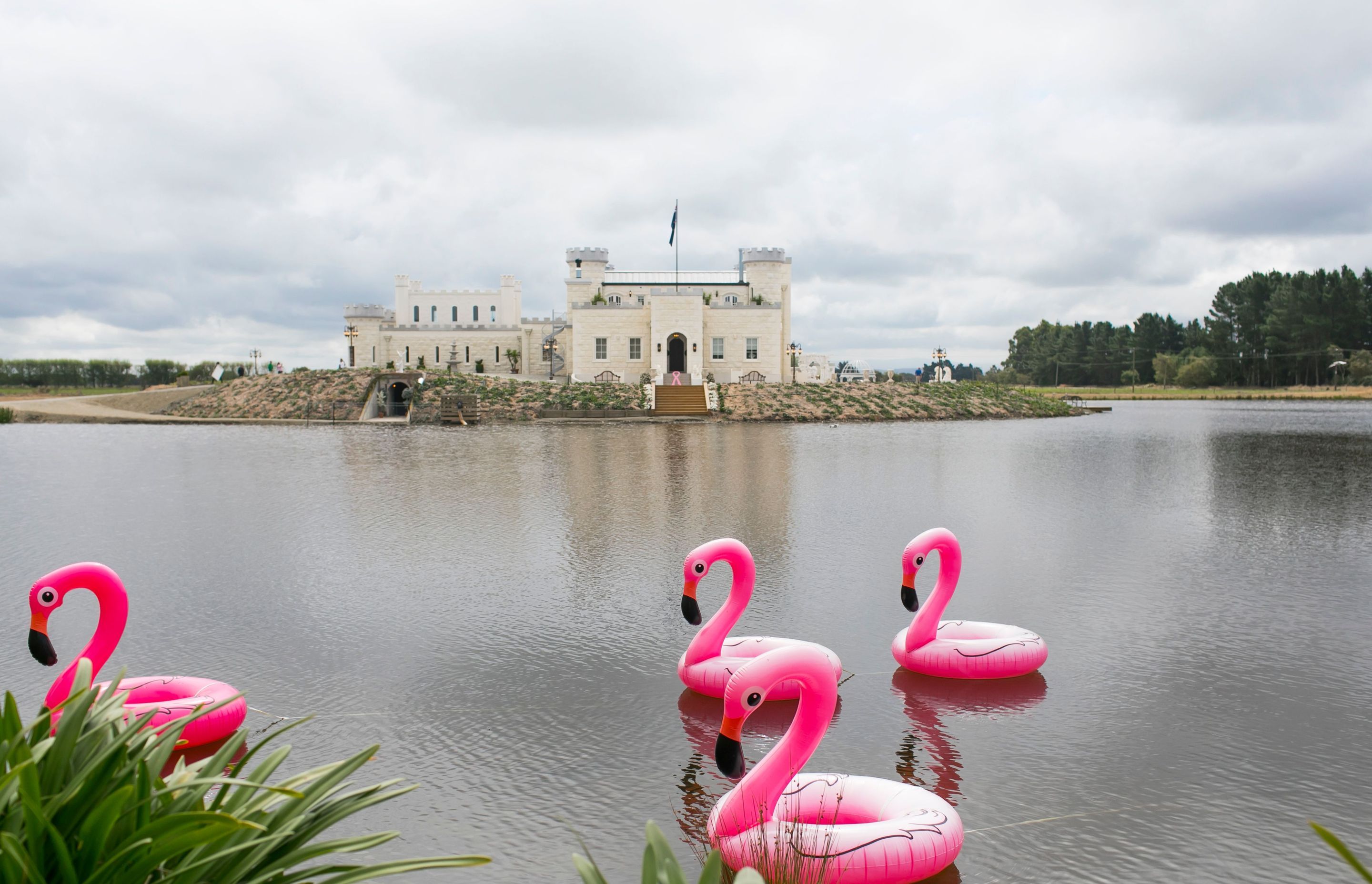 Castle-with-flamingos.jpg