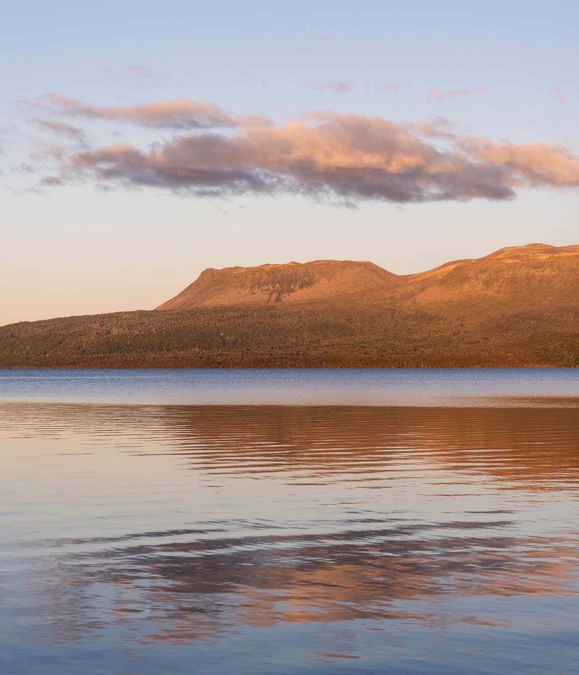 StudioBrickArchitects-Tarawera21.jpg