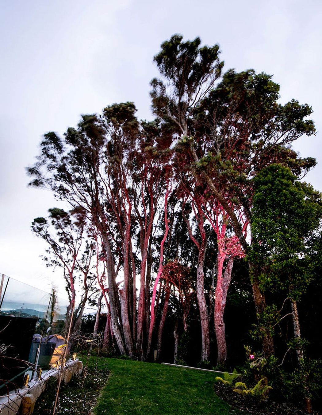 Khandallah LIfestyle Landscaping