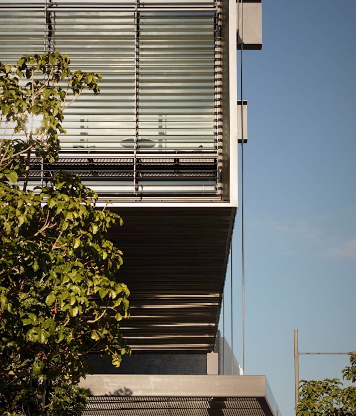 Te Manawa Library
