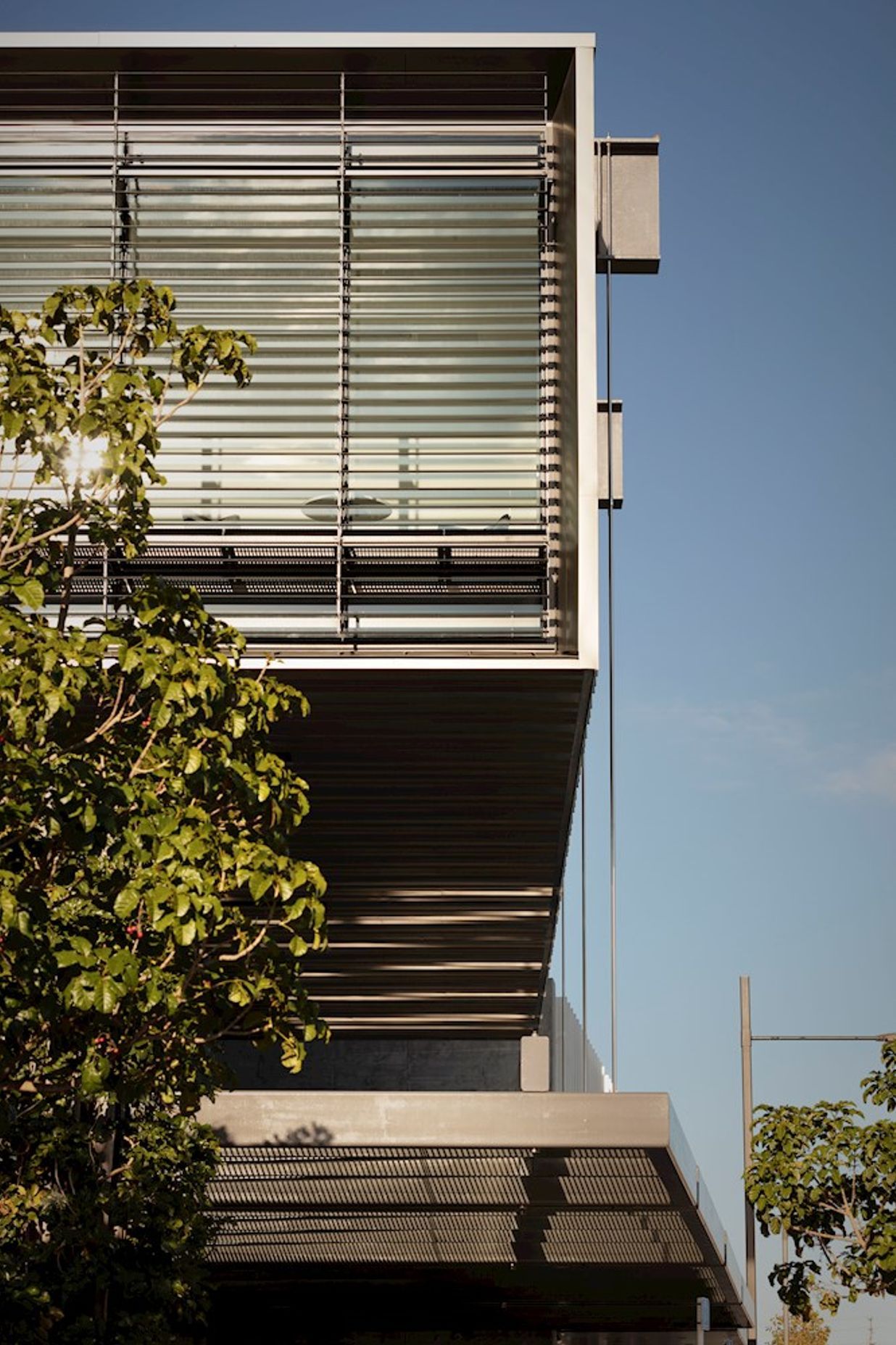 Te Manawa Library