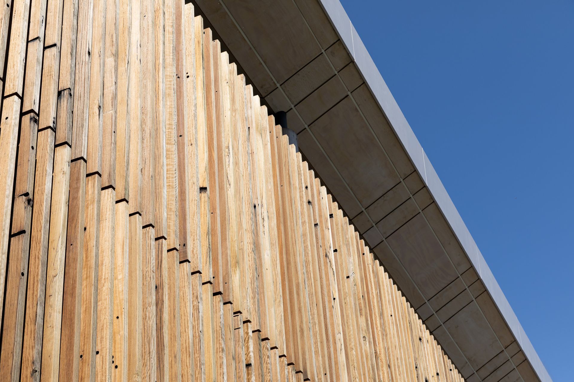 Marrickville Library - BVN