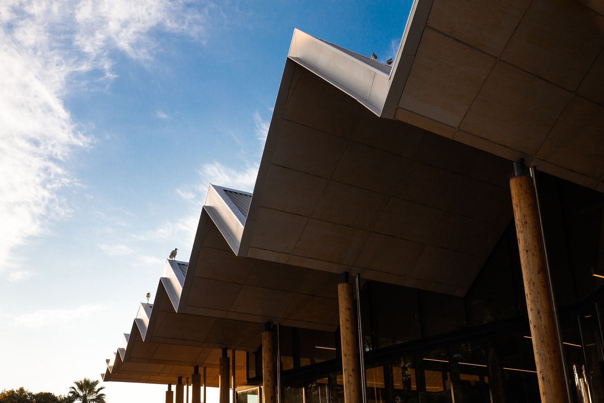 Marrickville Library - BVN