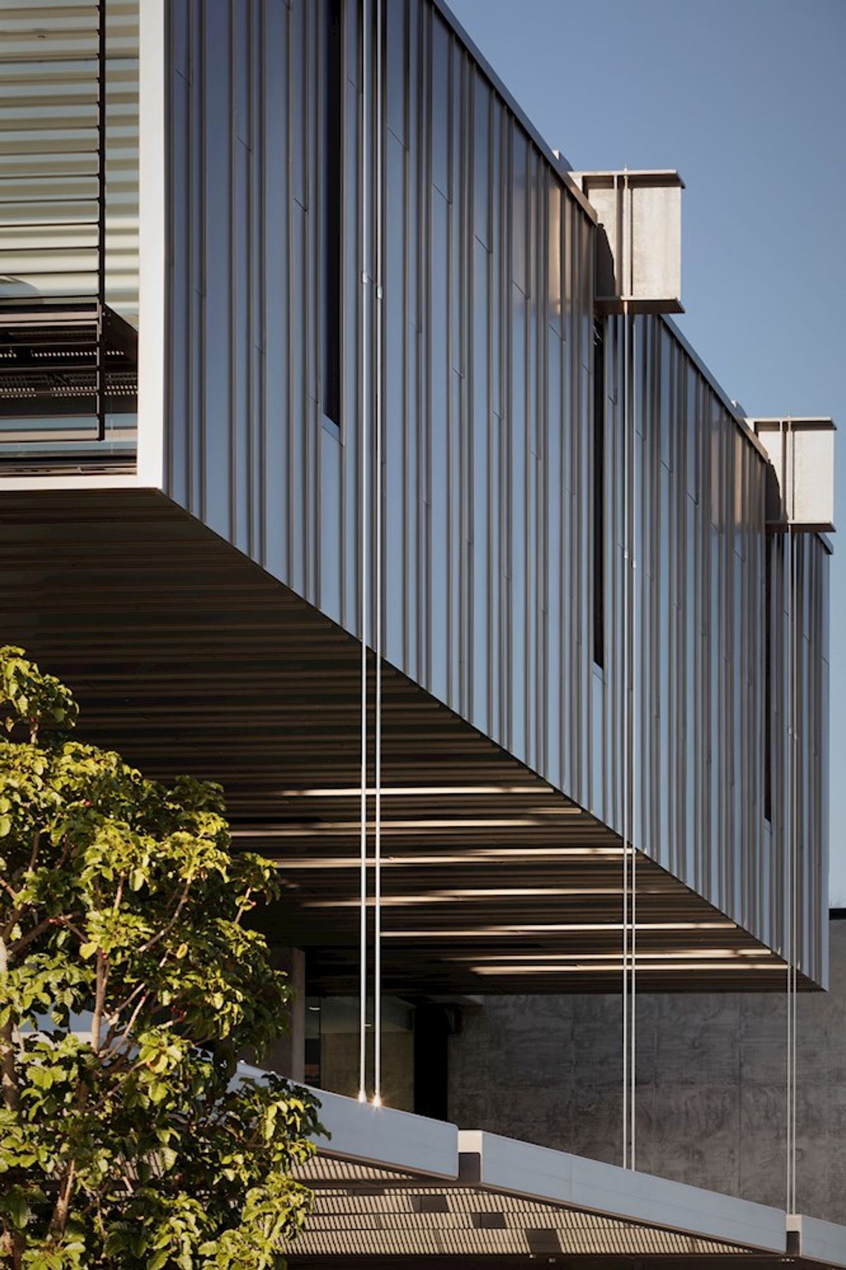 Te Manawa Library