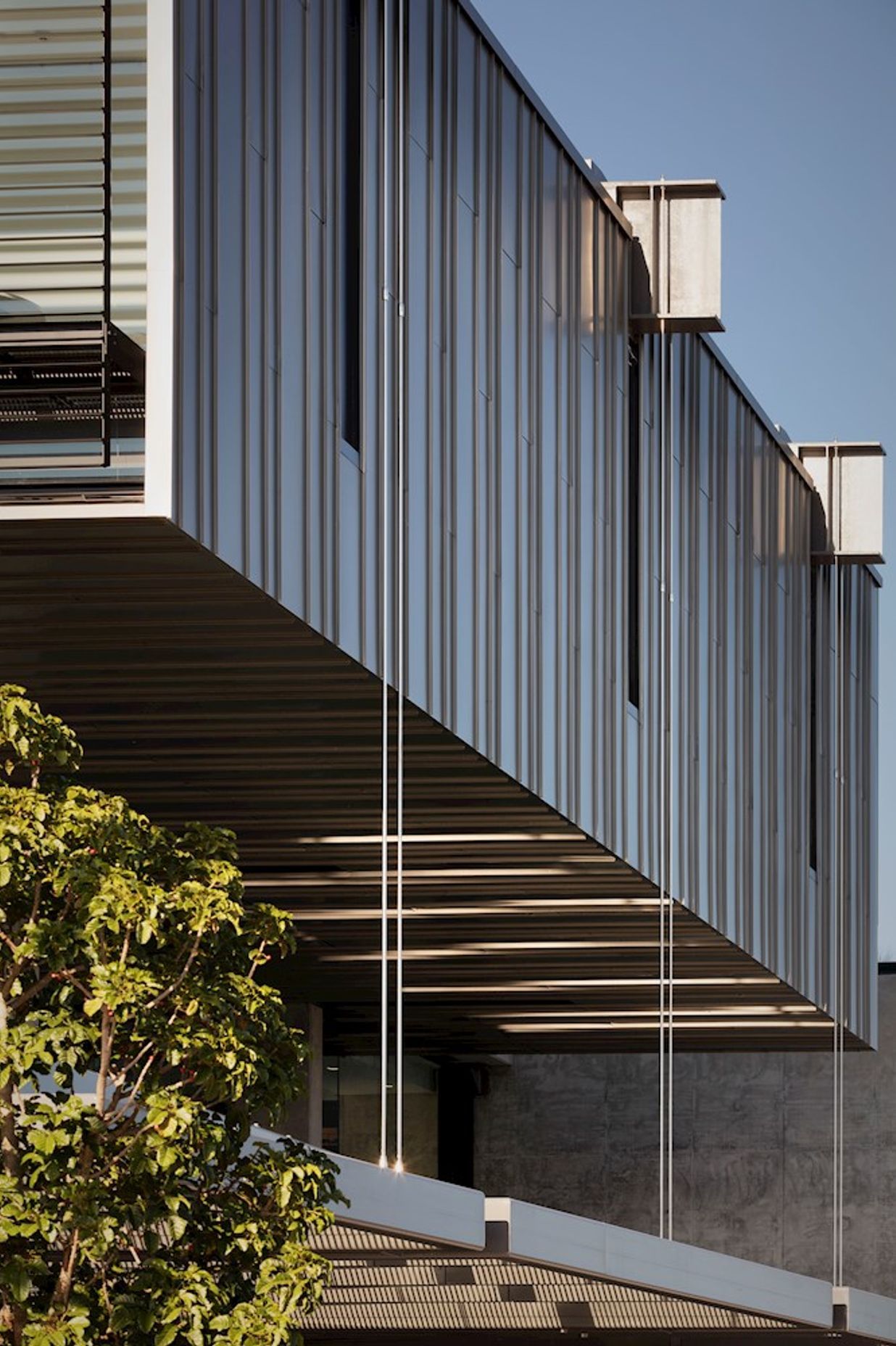 Te Manawa Library