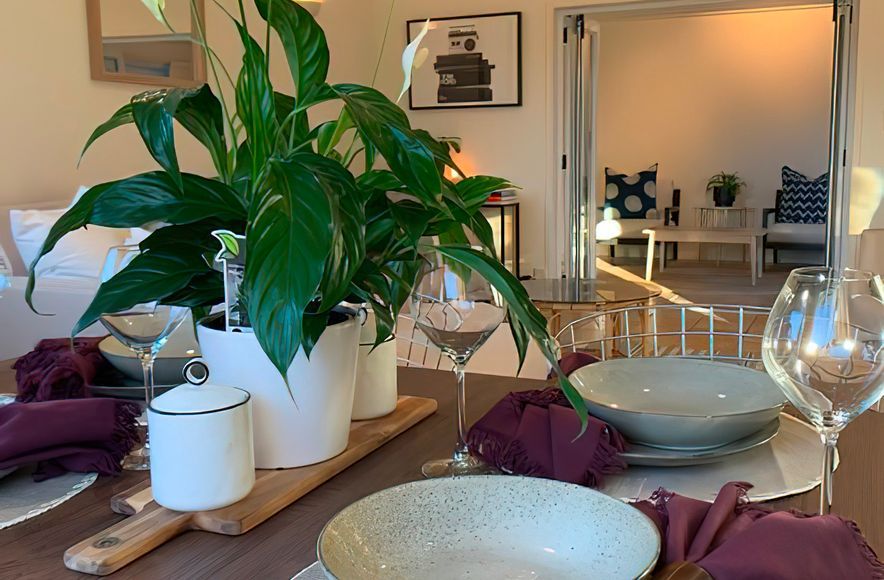 Home Staging - Arthur Street