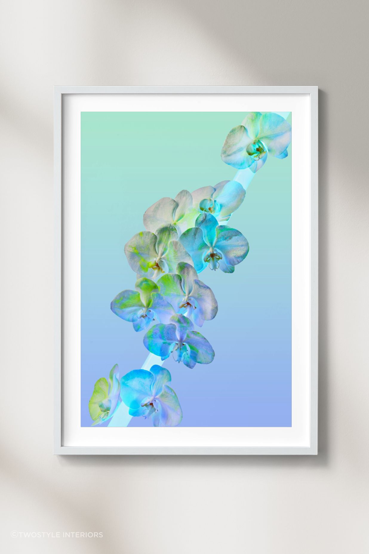 Shop: Twostyle X Acid Flwrs