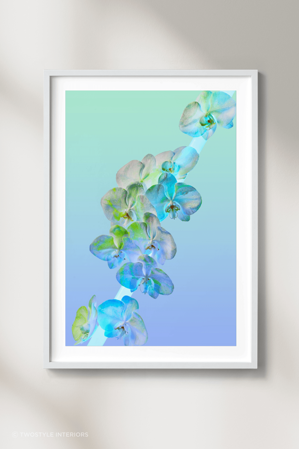 Shop: Twostyle X Acid Flwrs