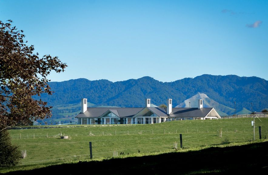 Waikato Farmhouse
