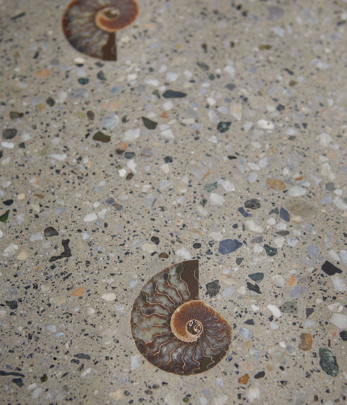 230912WallabyHillProject0026-v2.jpg