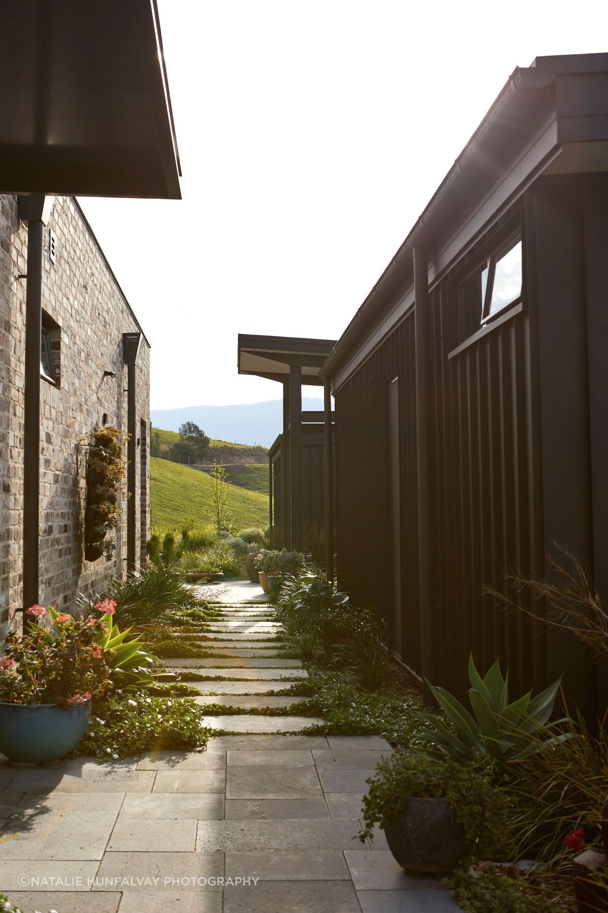 230912WallabyHillProject0461.jpg