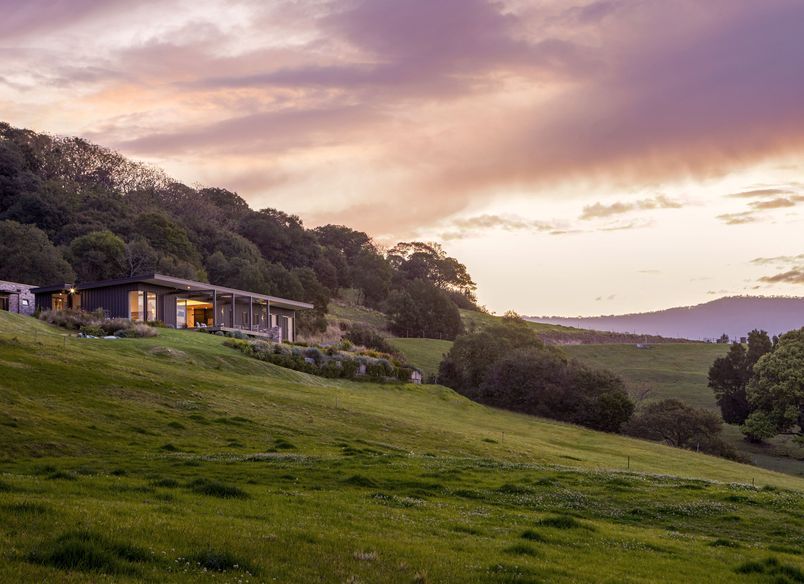 Little Wren Farm