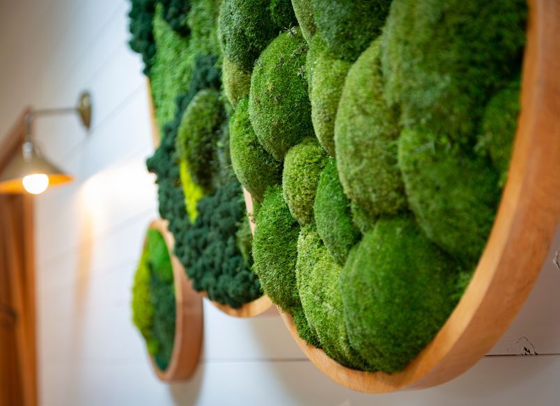 GAEA Moss Art Interior Decor