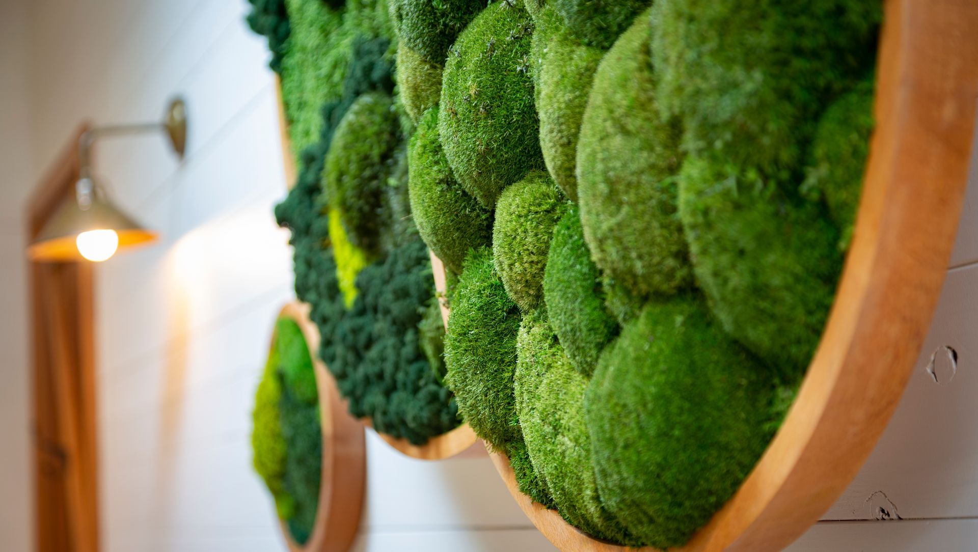 GAEA Moss Art Interior Decor banner