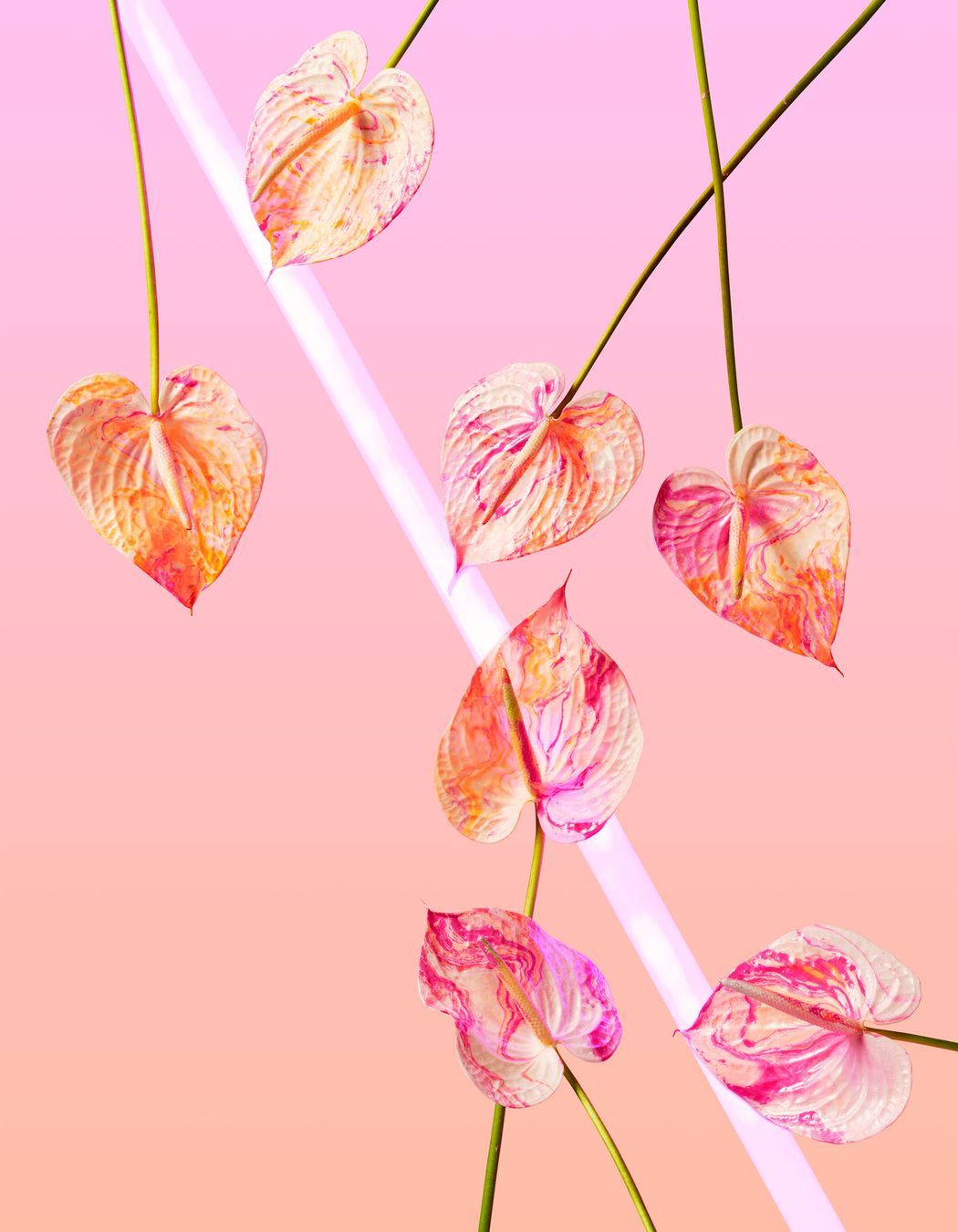 Shop: Twostyle X Acid Flwrs