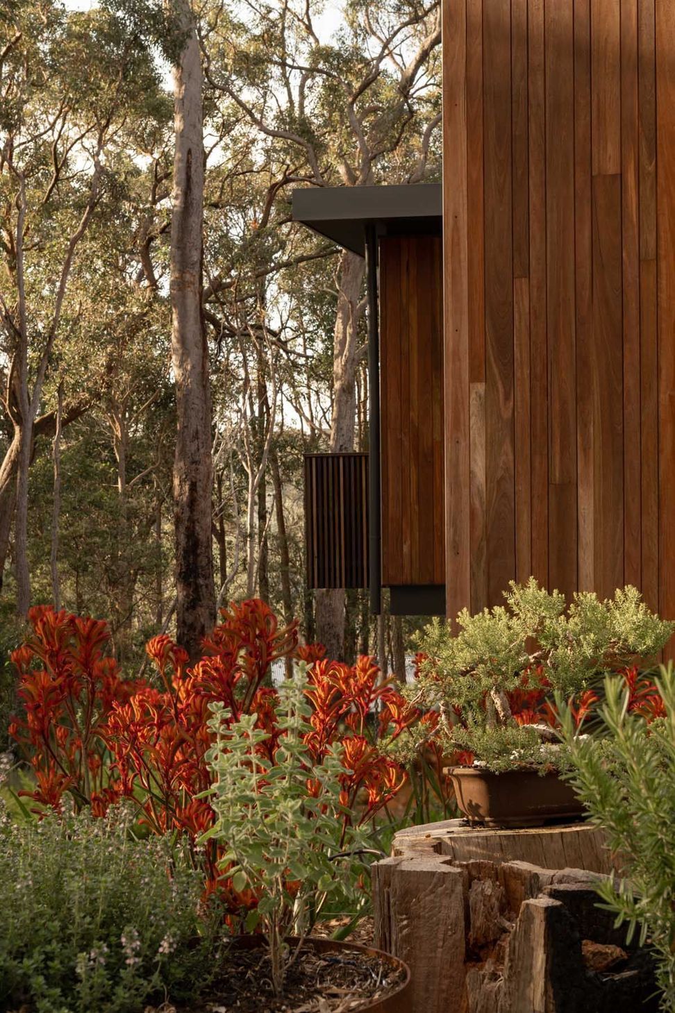 Axis-H1400-Treehouse-Margaret-River-WA-Exterior-11.jpeg