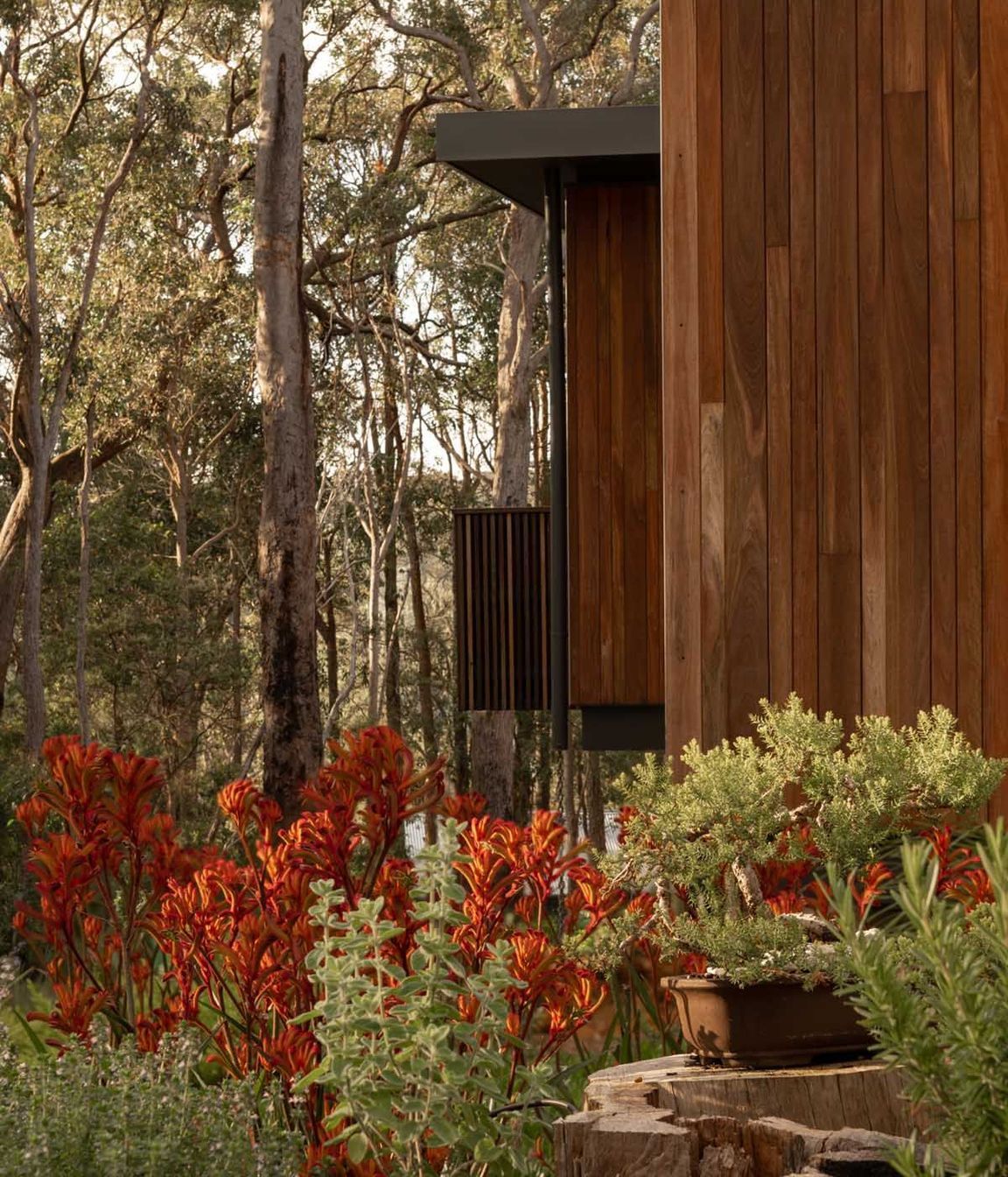 Axis-H1400-Treehouse-Margaret-River-WA-Exterior-11.jpeg