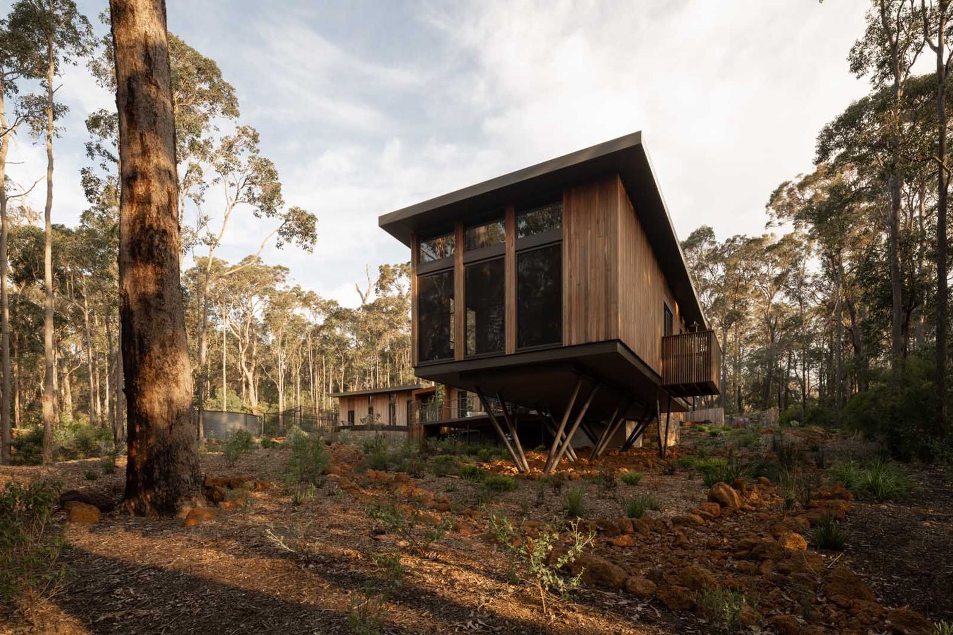 Axis-H1400-Treehouse-Margaret-River-WA-Exterior-12.jpeg