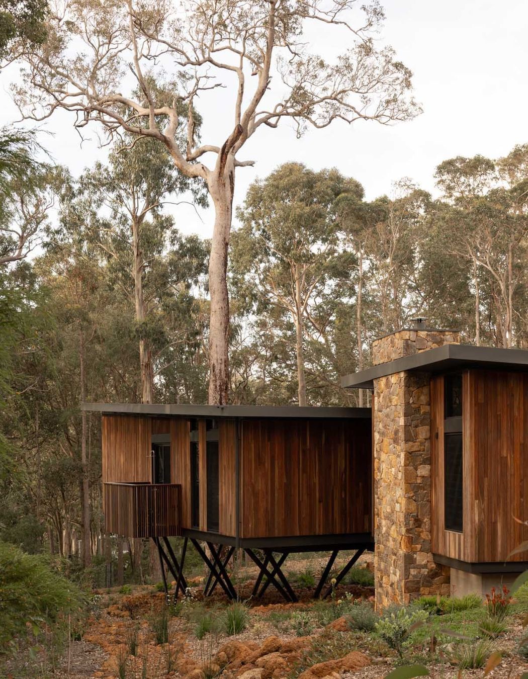 Axis-H1400-Treehouse-Margaret-River-WA-Exterior-8.jpeg