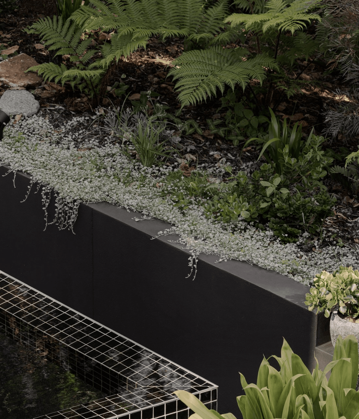 Axis-i1000FS-DS-Cottonwood-QLD-Exterior-3-v2.png