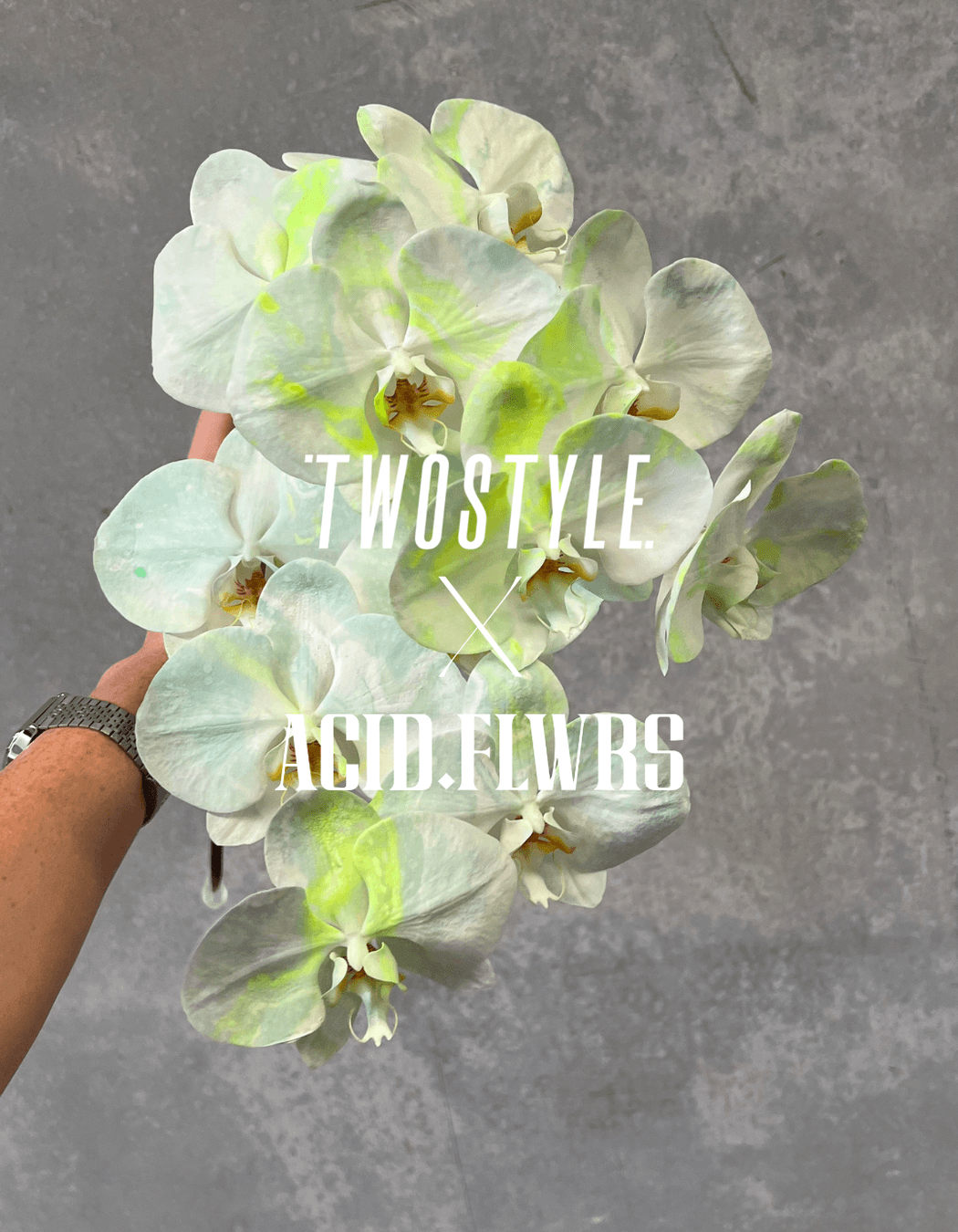 Shop: Twostyle X Acid Flwrs