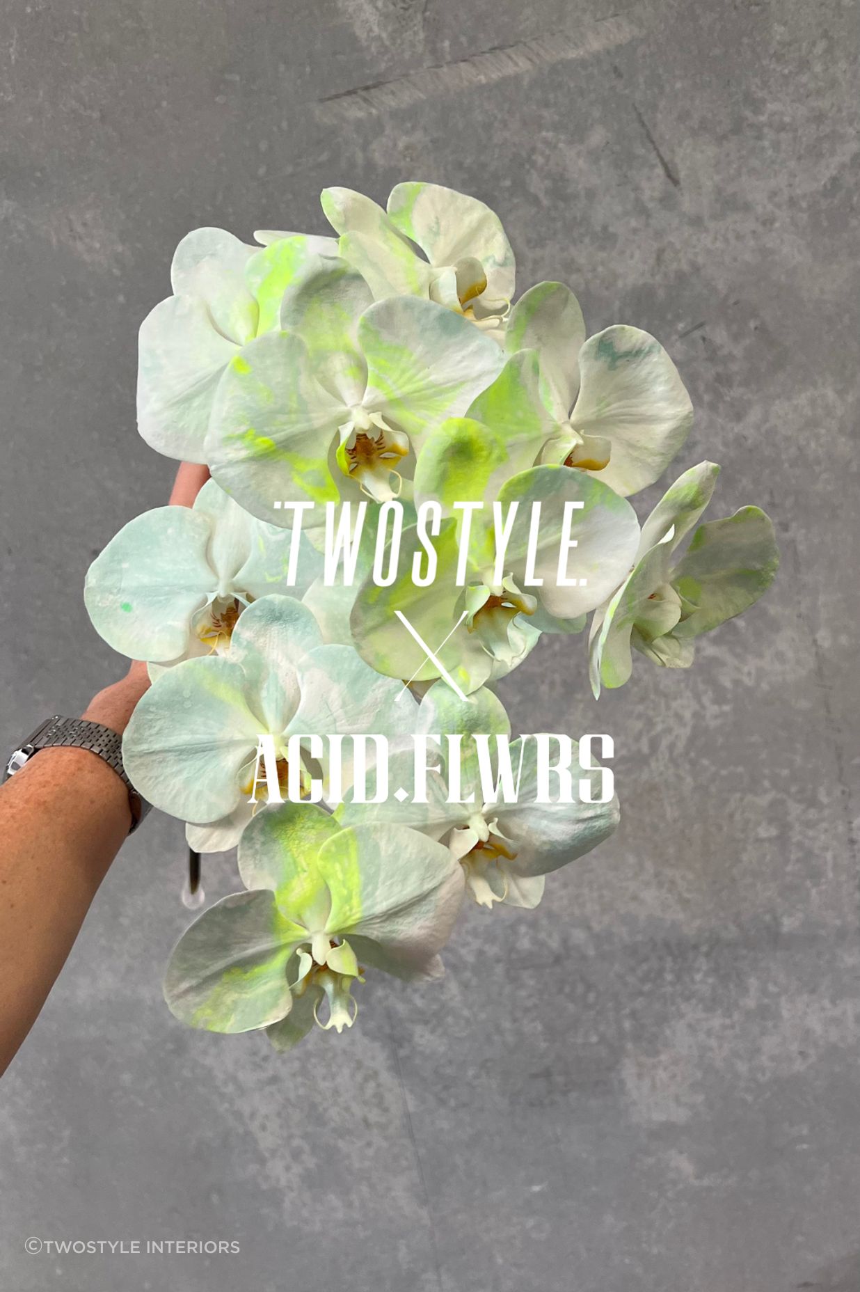 Shop: Twostyle X Acid Flwrs