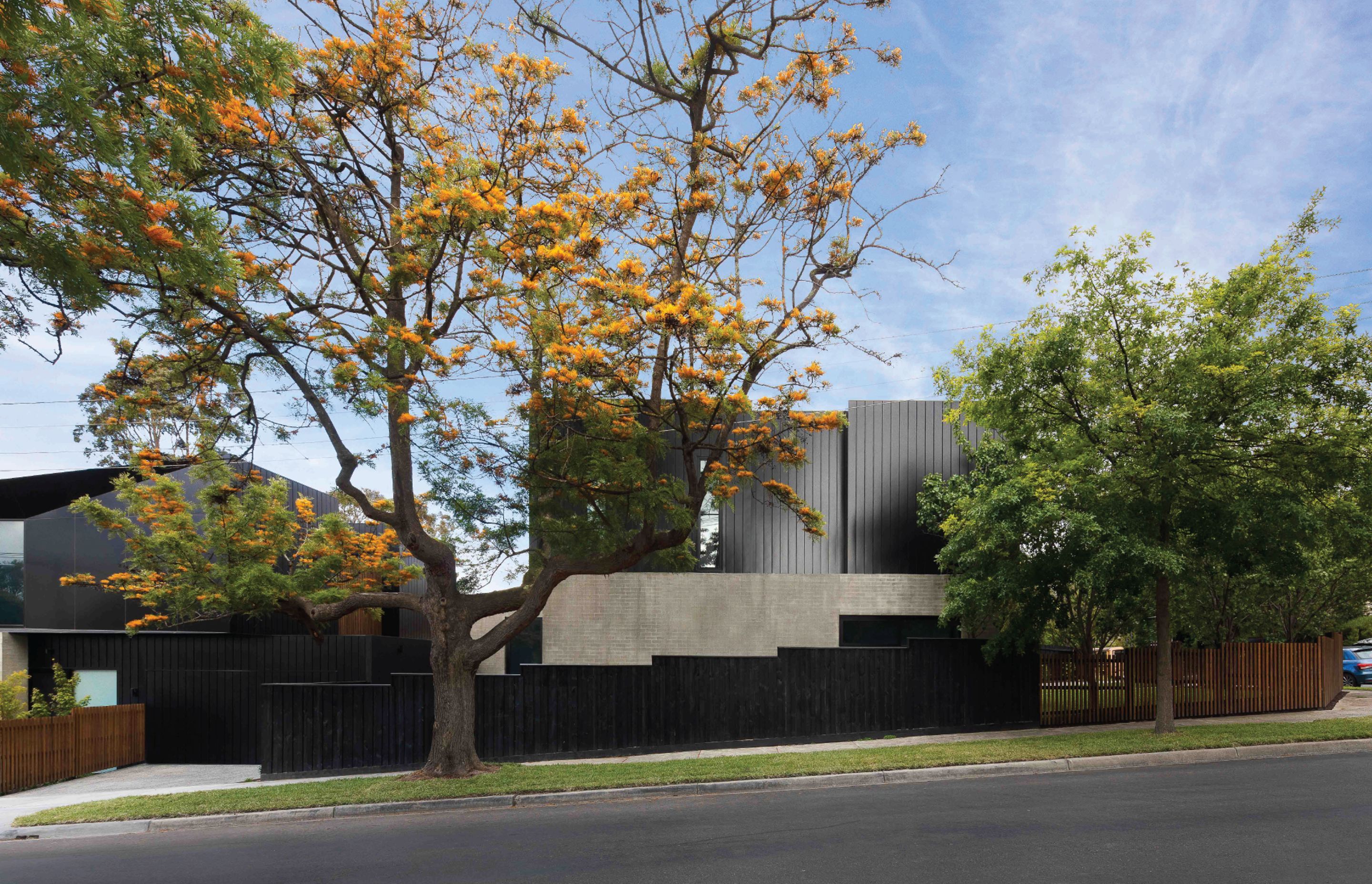 ##The Rose Glen Iris 2017