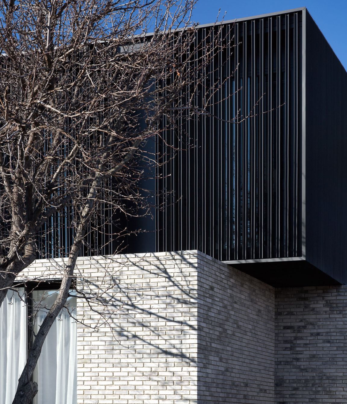 Caroline South Yarra 2016