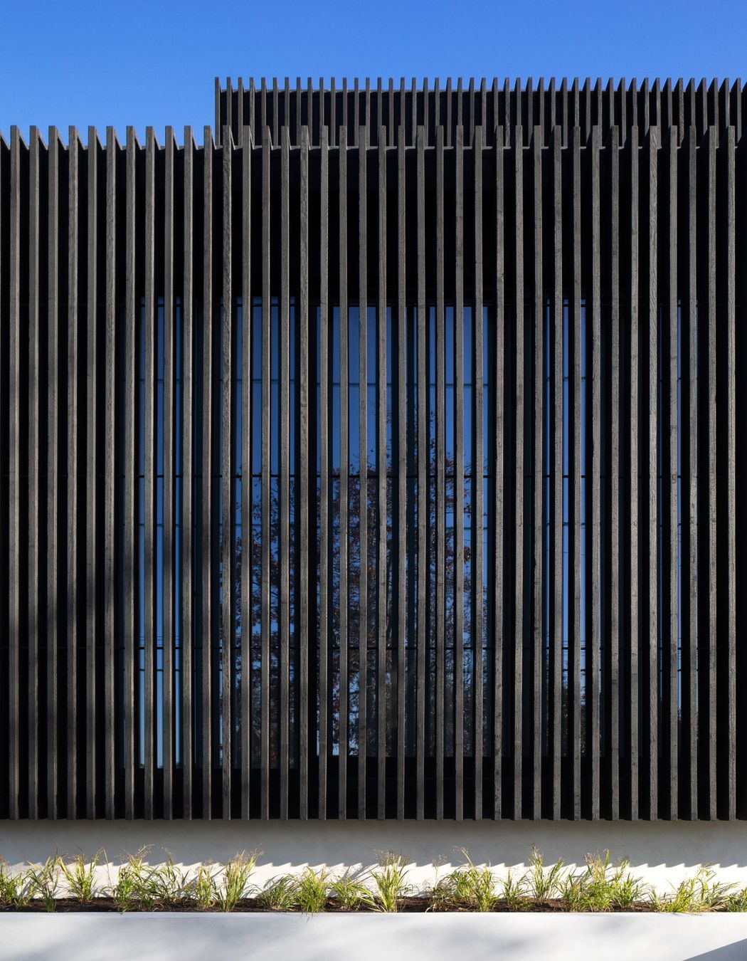 Rosedale Glen Iris 2018