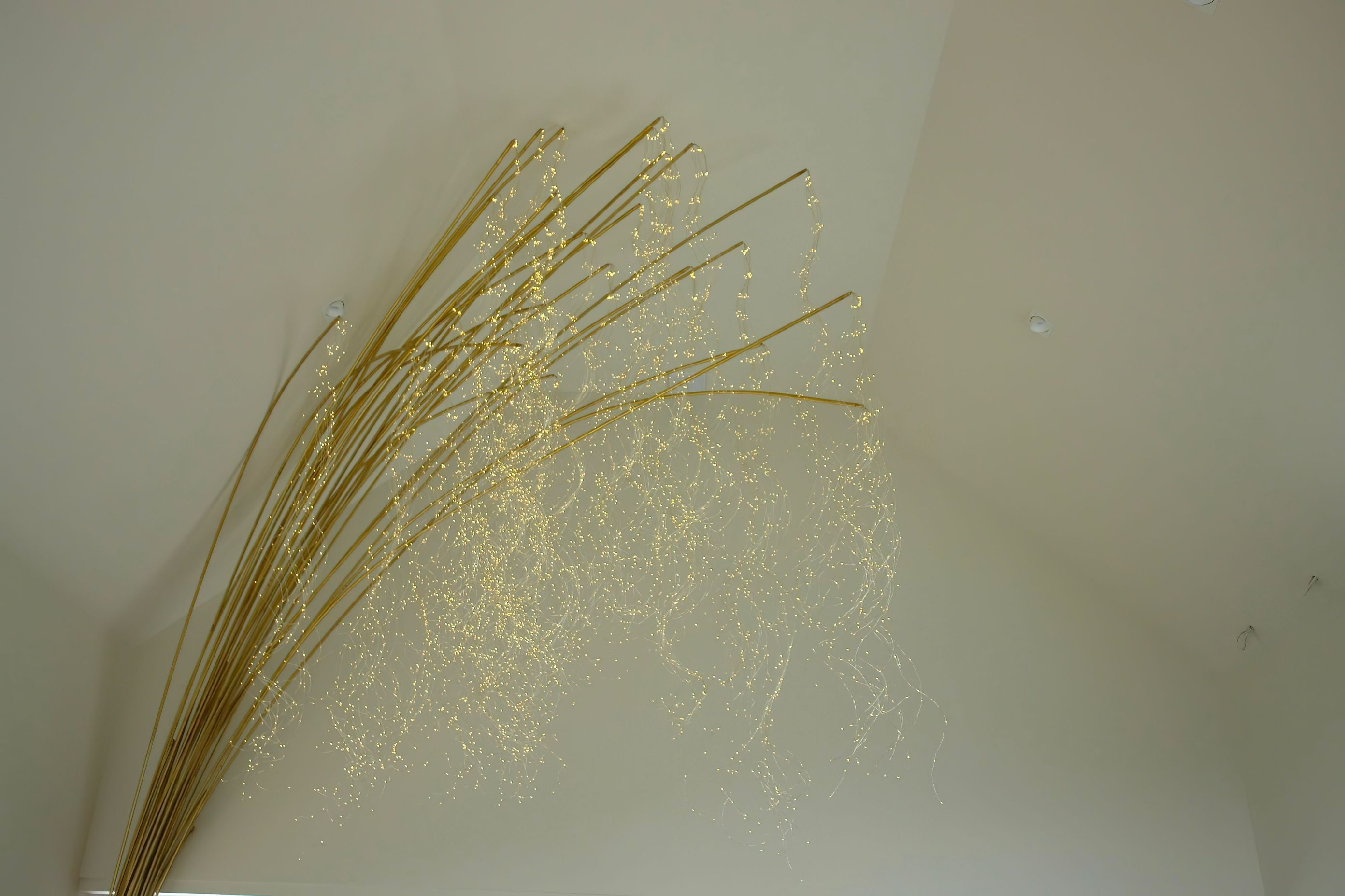 DSC03412-1.jpg