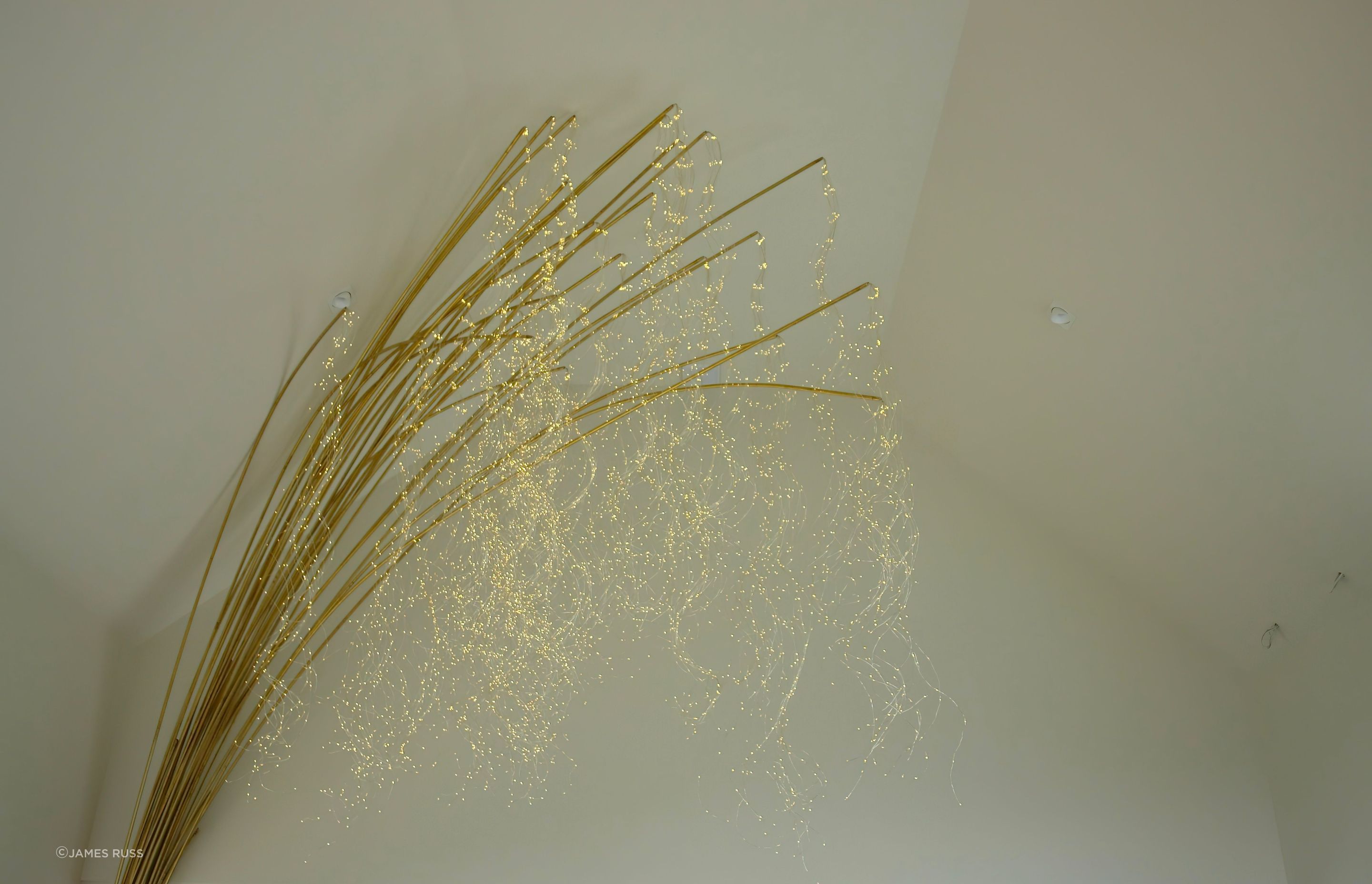 DSC03412-1.jpg