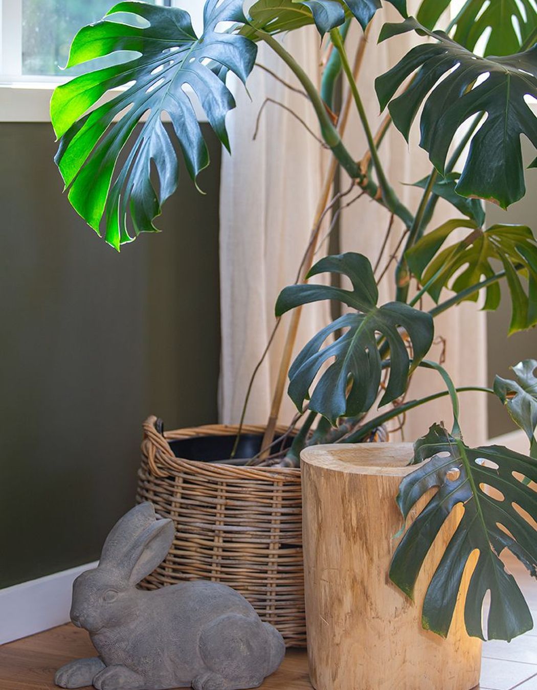 Eclectic collections.