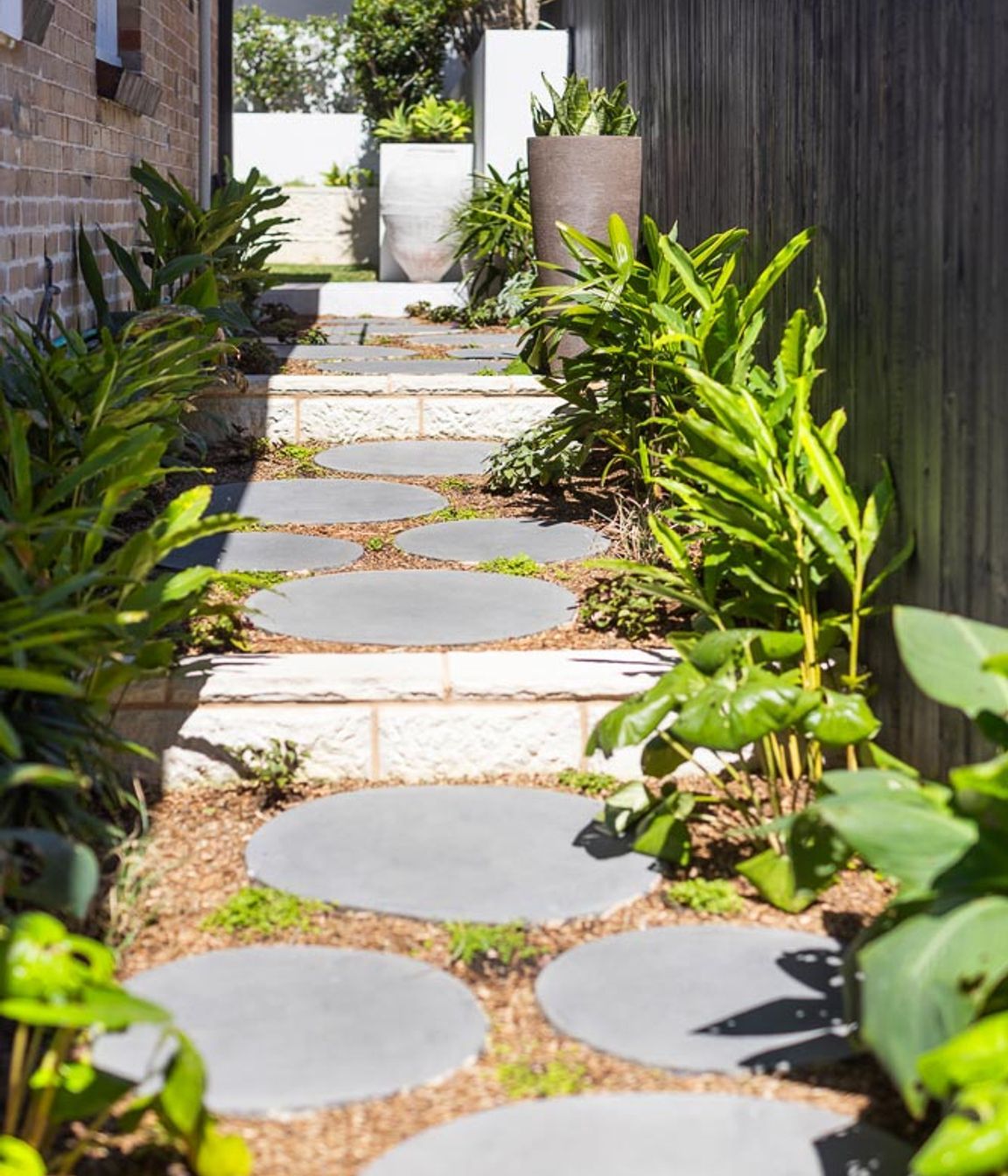 MM-Architects-Balgowlah-20924-WEB-018.jpg