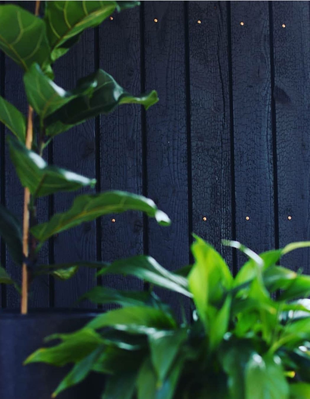 Interior Feature Wall