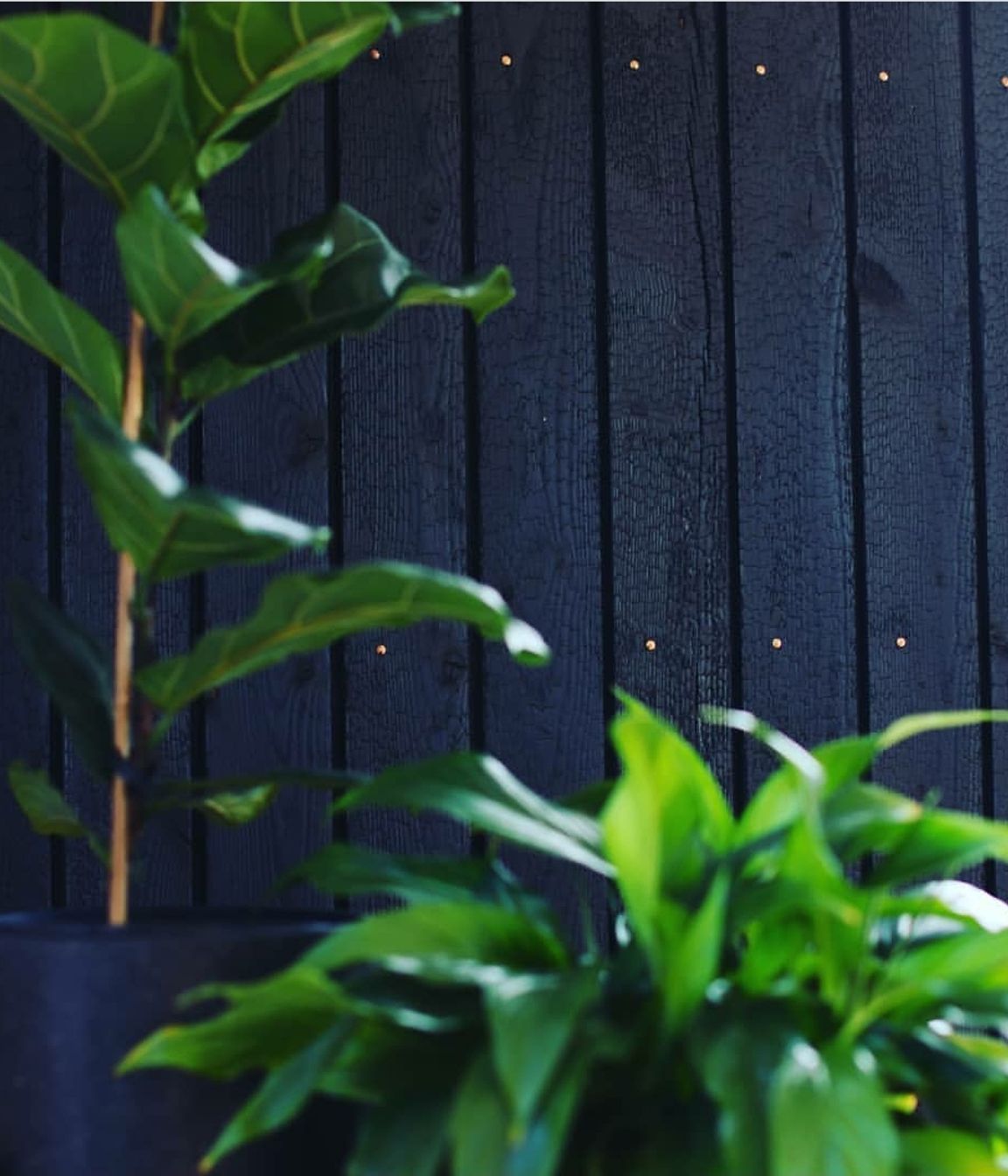 Interior Feature Wall