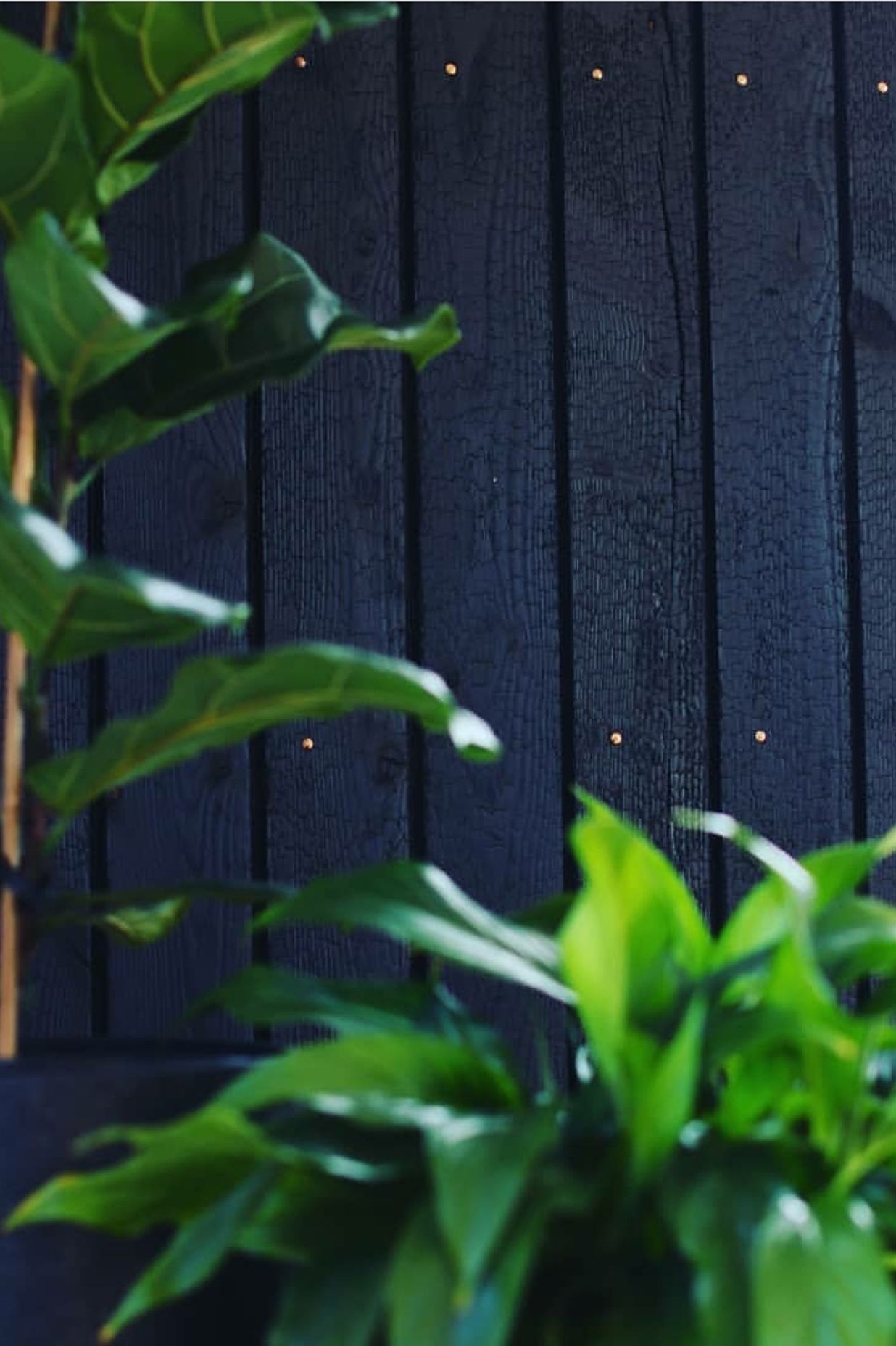 Interior Feature Wall