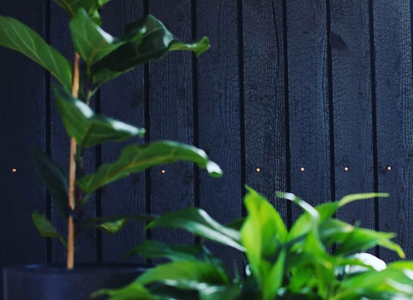 Interior Feature Wall