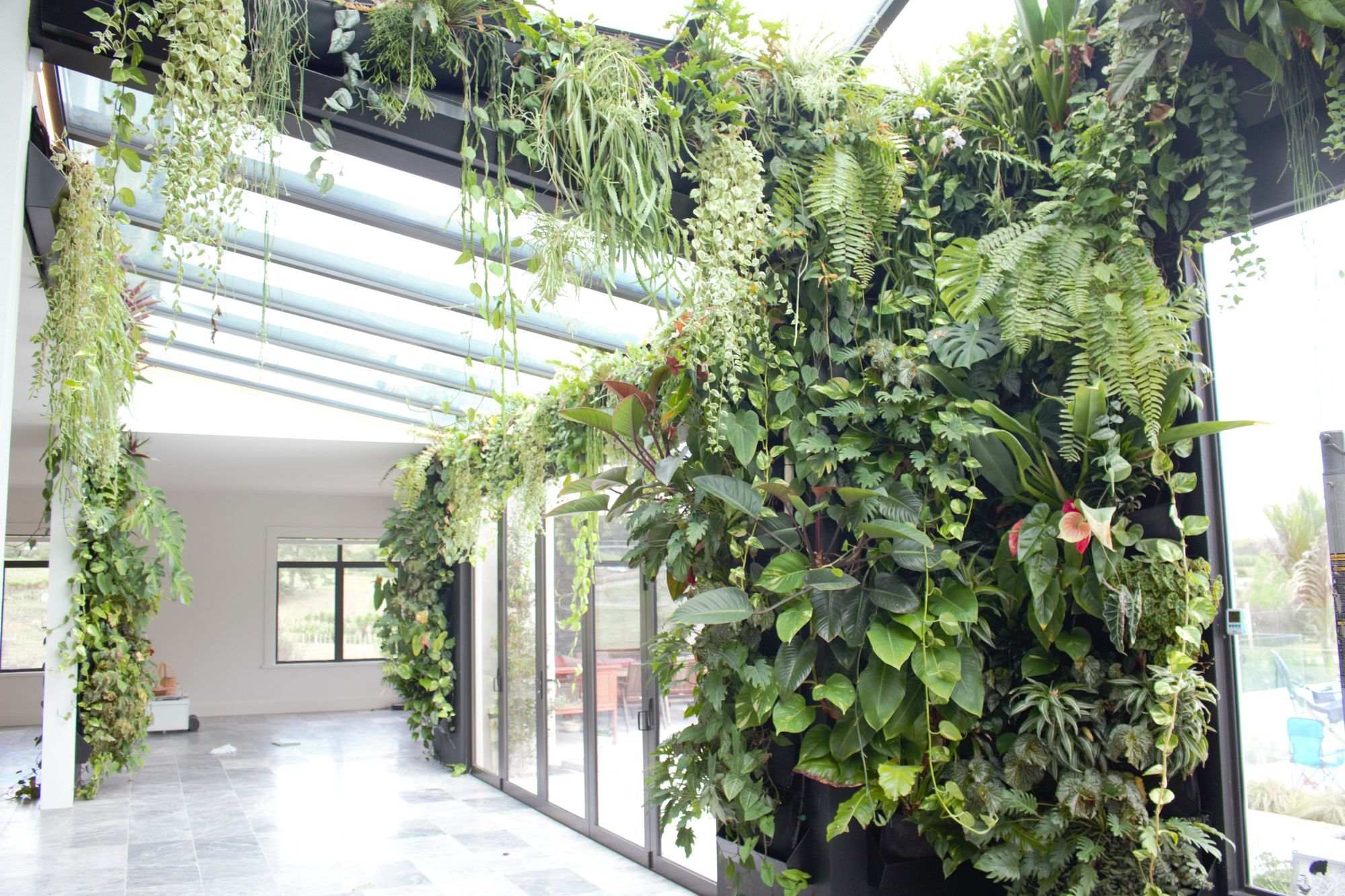 Private Home Live Plant Wall Installation