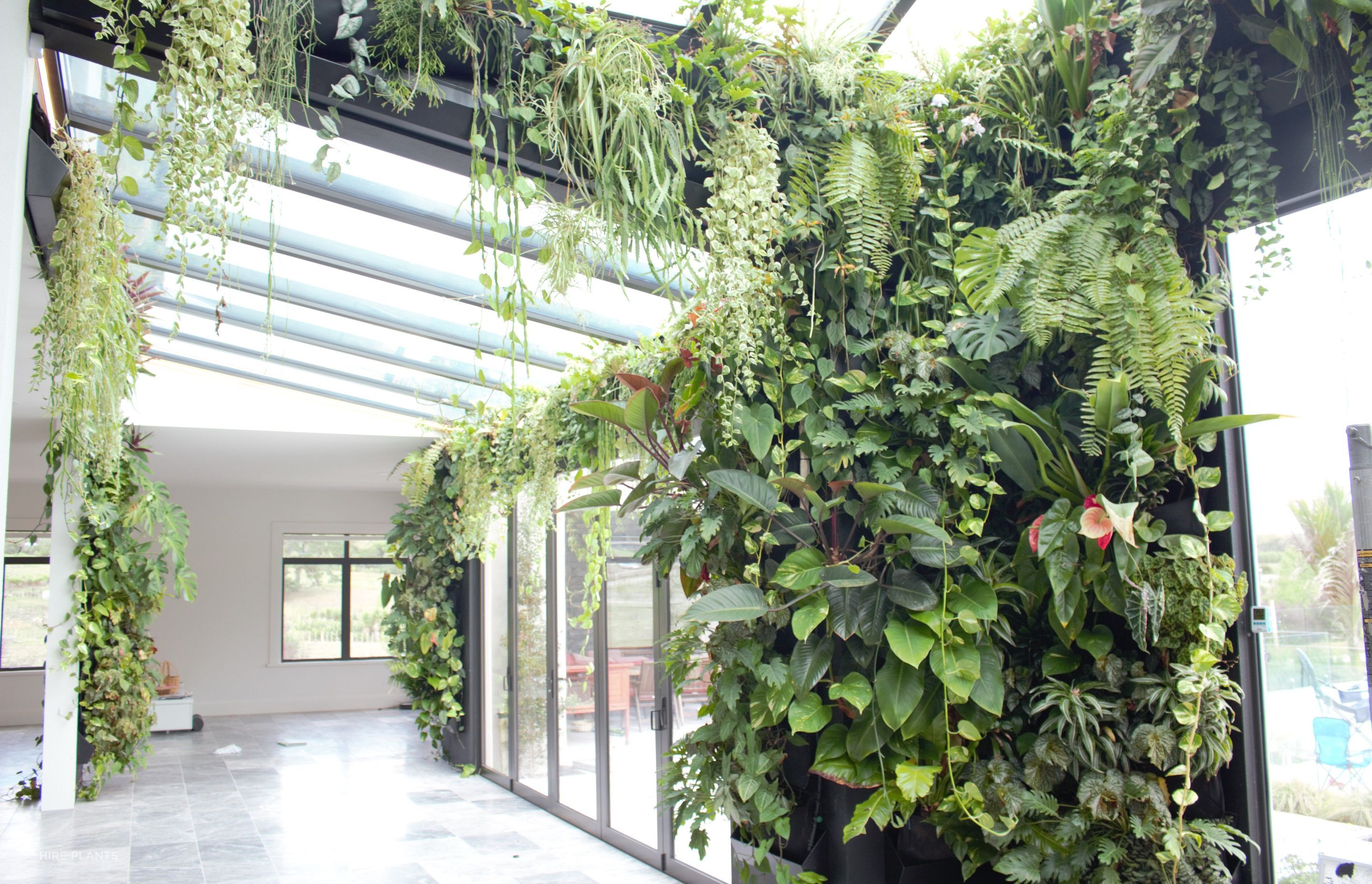 Private Home Live Plant Wall Installation