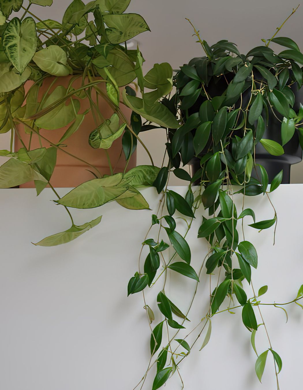 Home Staging - Cornwall Street