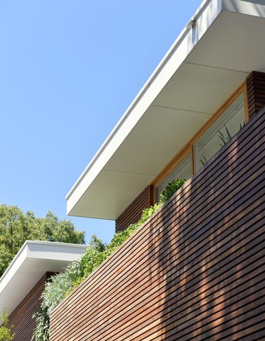 rosebay05.jpg
