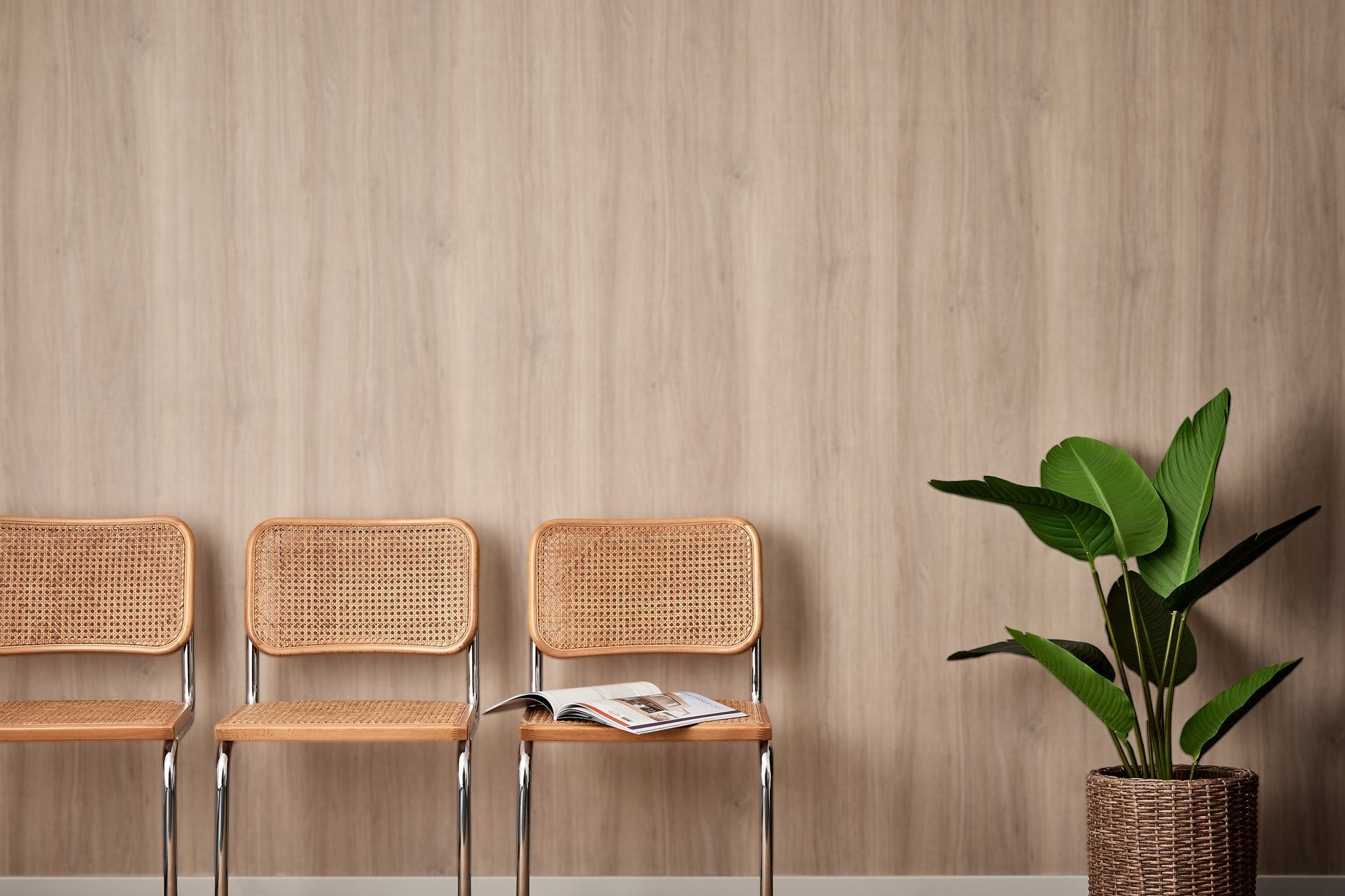 waiting-room-wallweb.jpg