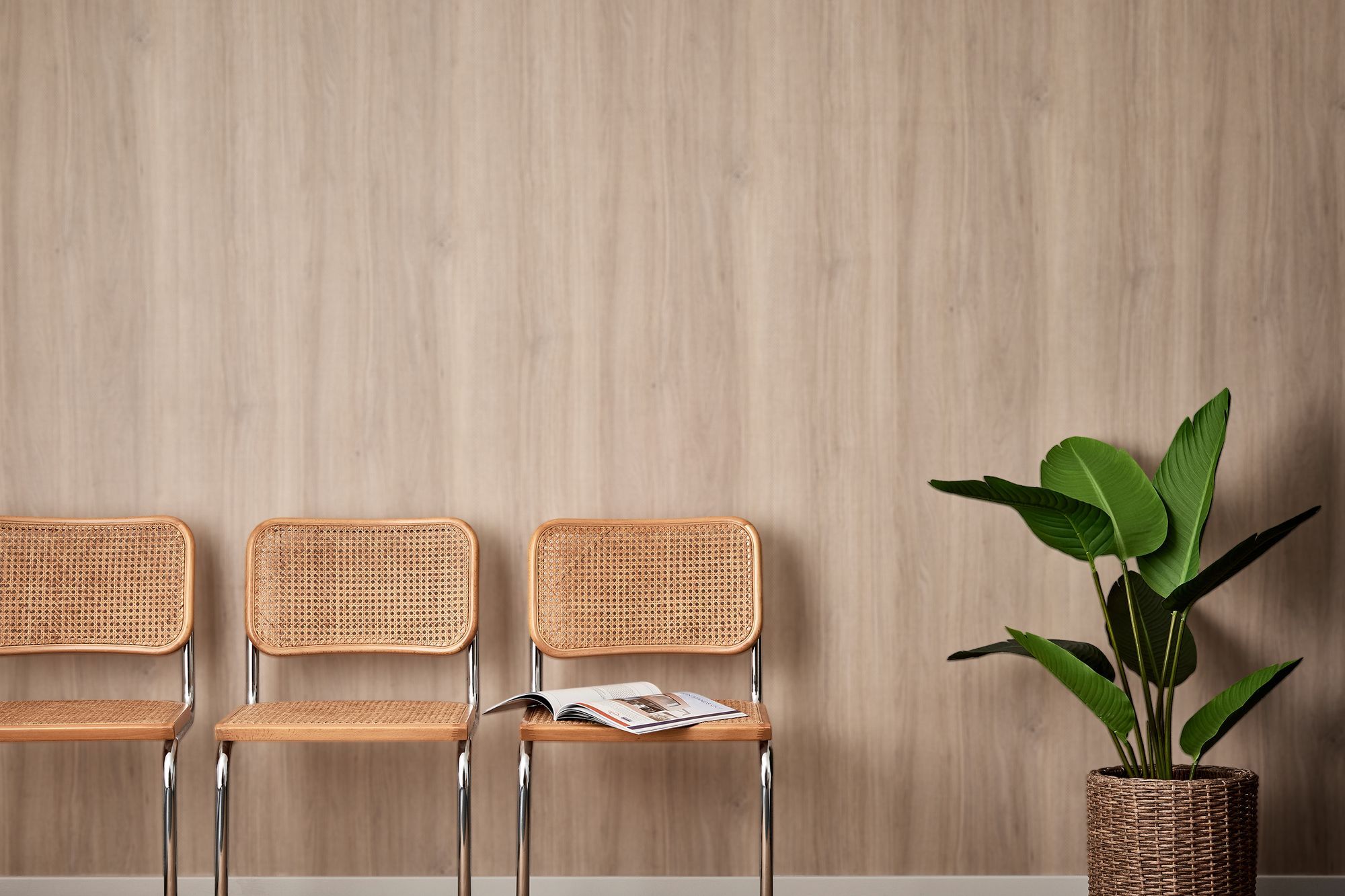 waiting-room-wallweb.jpg