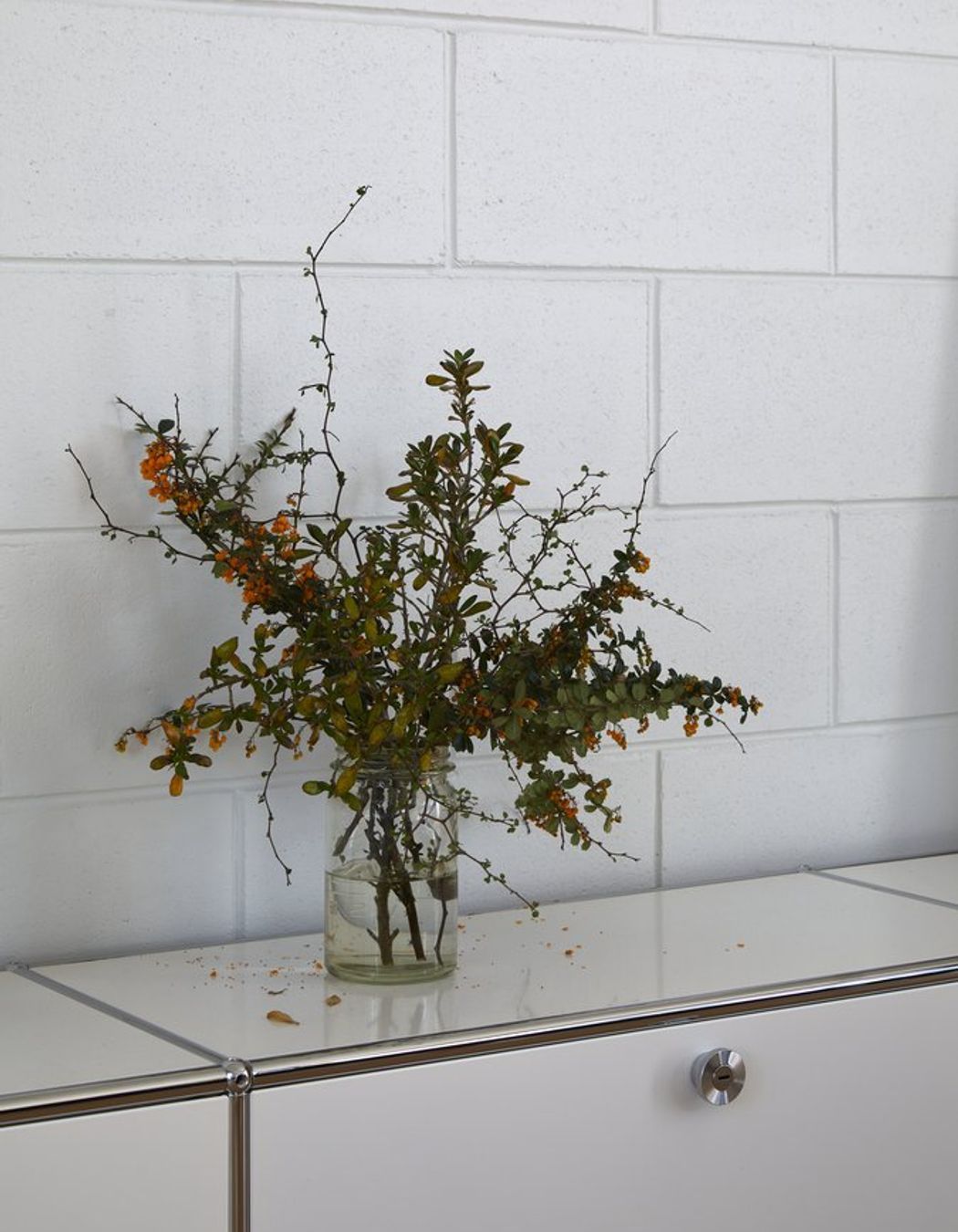 USM at Home in Lyttelton