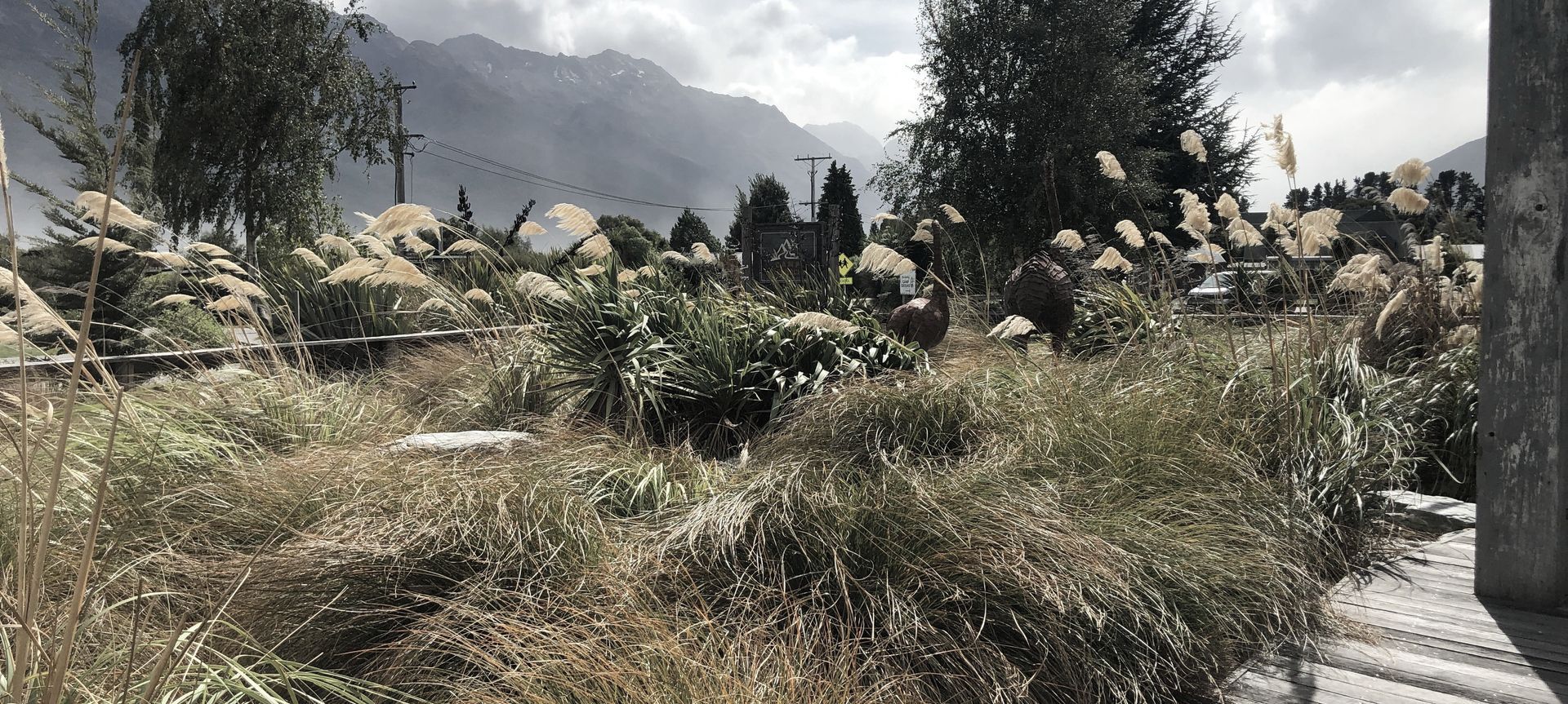 Urban Design - Camp GY, Glenorchy banner