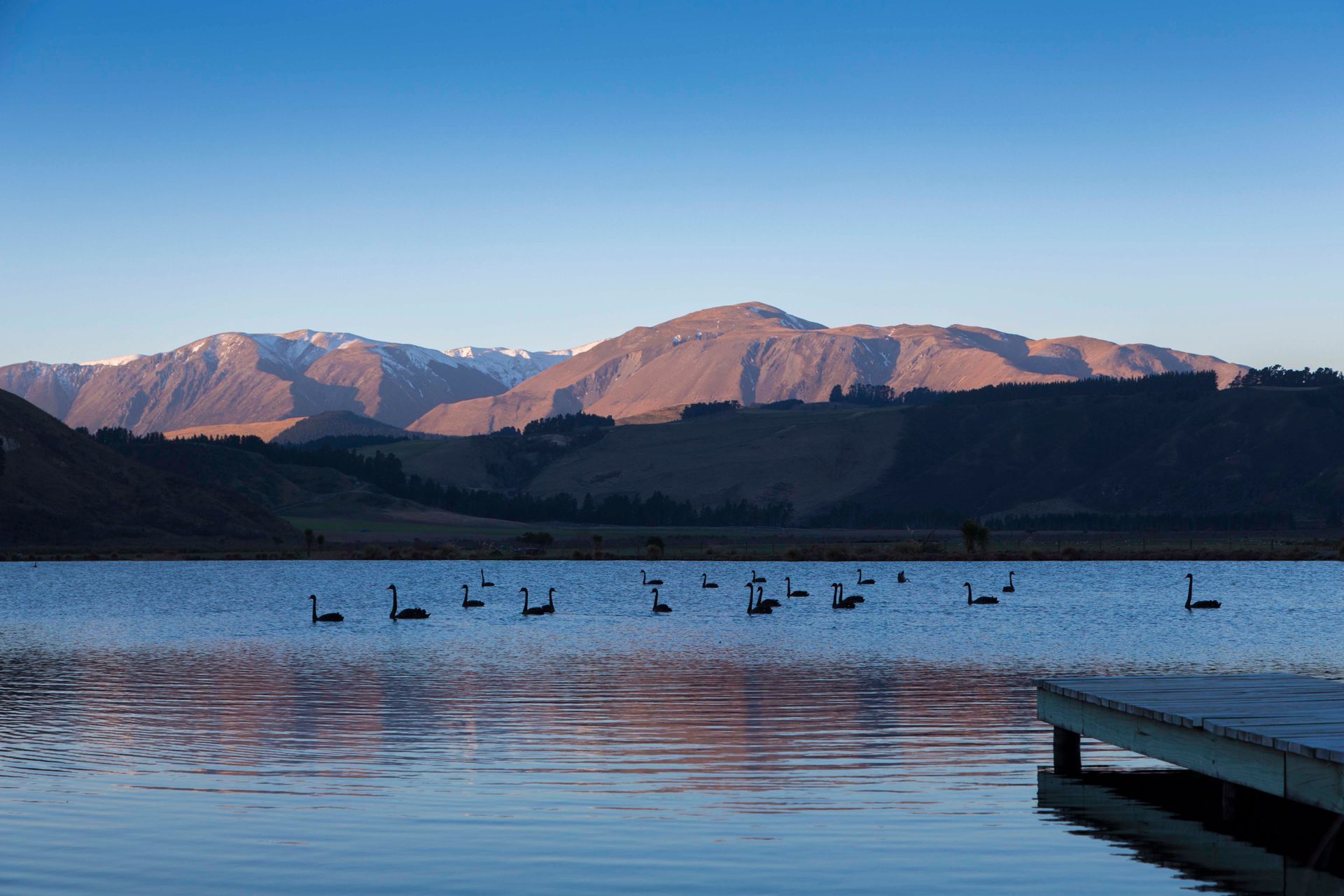 Montrose Station | Chilton &amp; Mayne Architecture
