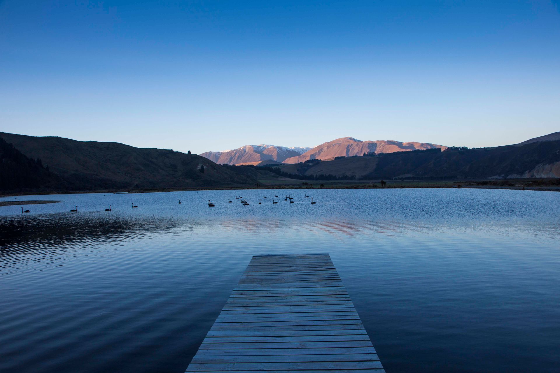 Montrose Station | Chilton &amp; Mayne Architecture