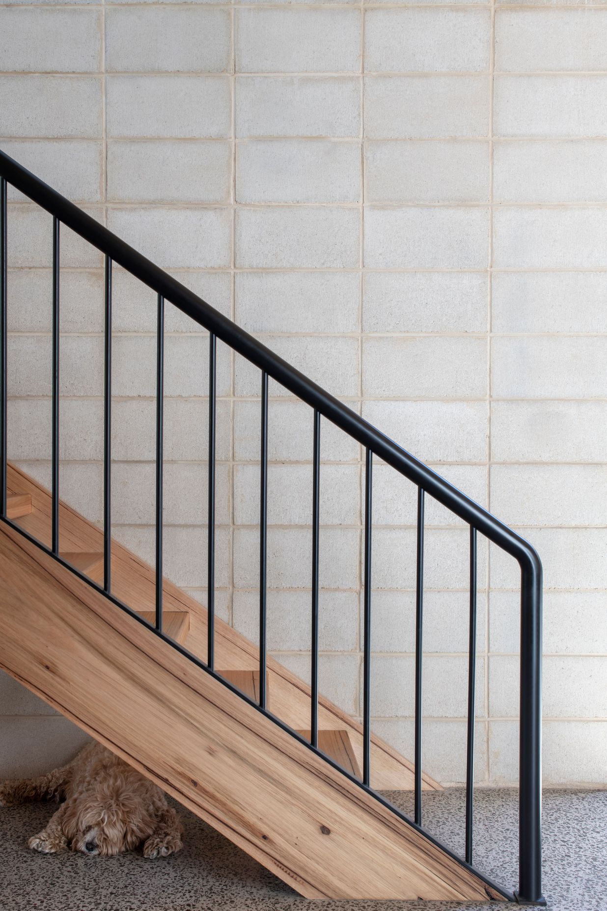 Elsternwick House