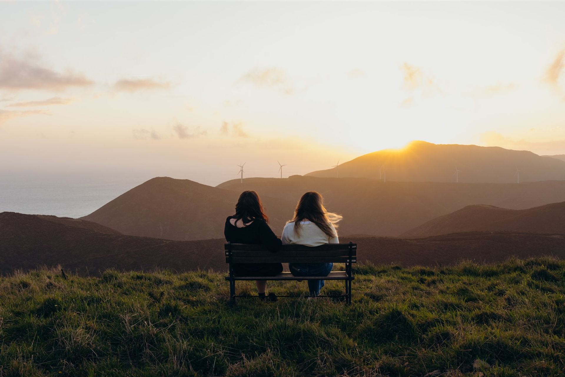 The success of this project is a true reflection of both the resilience and vision of Ben and Lauren, as well as the unwavering commitment of our team - showing up day after day and tackling challenges head on with sheer determination and skill in every part of the build.